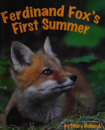 Ferdinand Fox's first summer