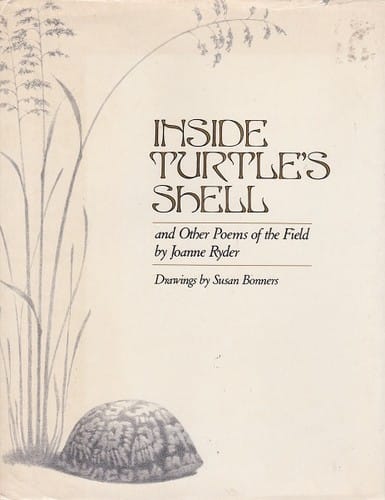 Inside Turtle's Shell