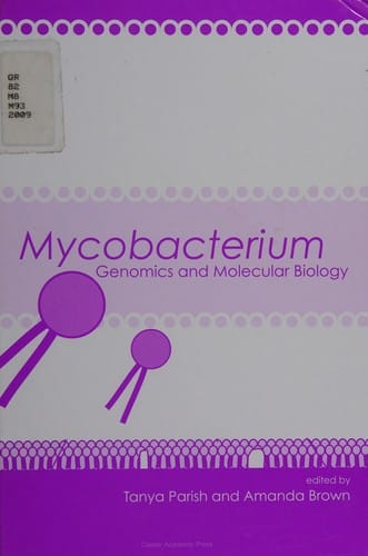 Mycobacterium