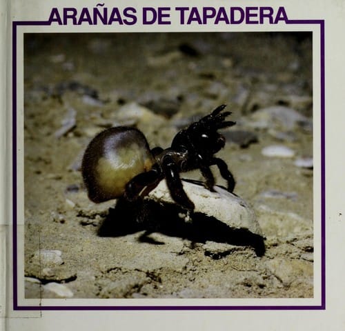 Arañas de tapadera