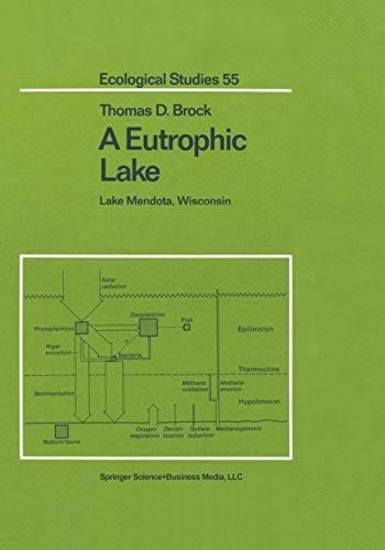 A eutrophic lake