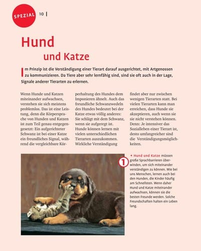 Hunde wirklich verstehen