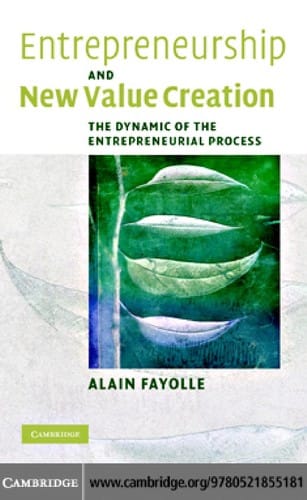 ENTREPRENEURSHIP AND NEW VALUE CREATION: THE DYNAMIC OF THE ENTREPRENEURIAL PROCESS
