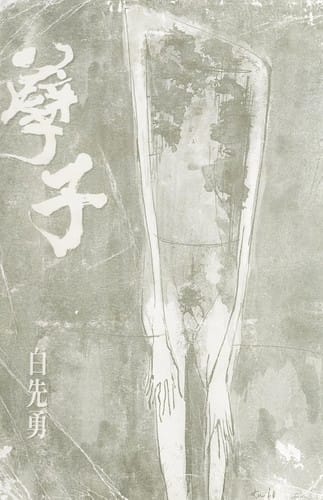 Nie zi