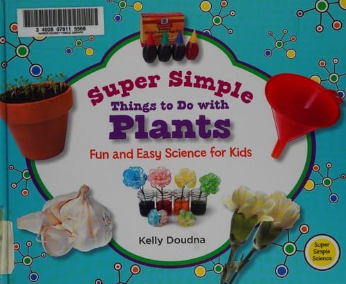 Super simple things to do with plants