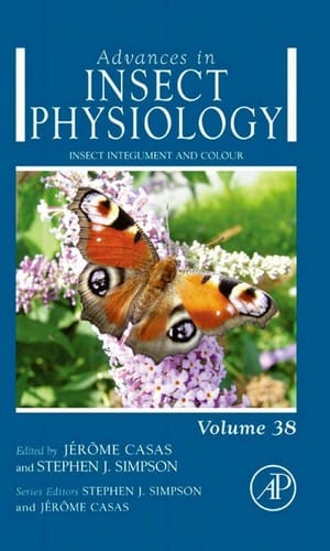 Insect integument and colour