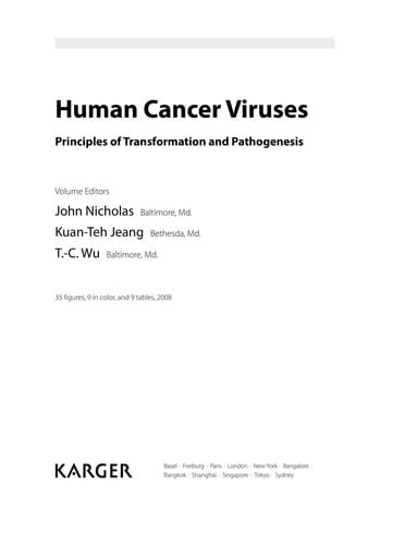 Human cancer viruses