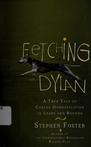 Fetching Dylan