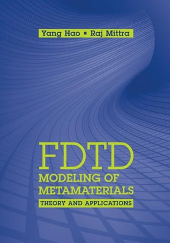 FDTD modeling of metamaterials