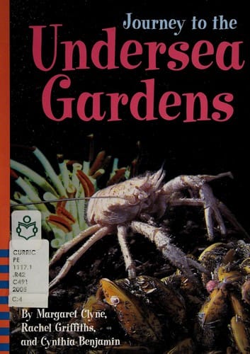 Journey to the undersea gardens