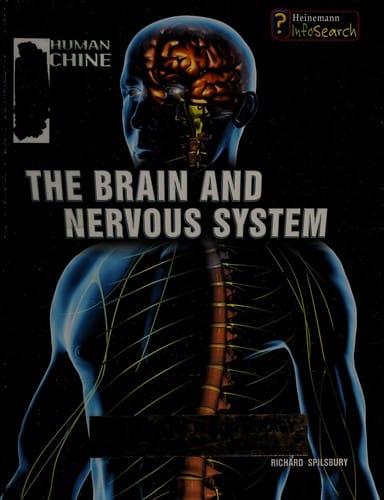 The brain and nervous system