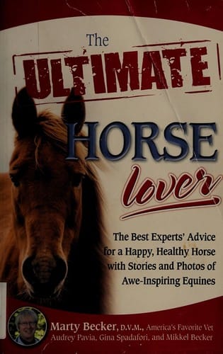 The ultimate horse lover