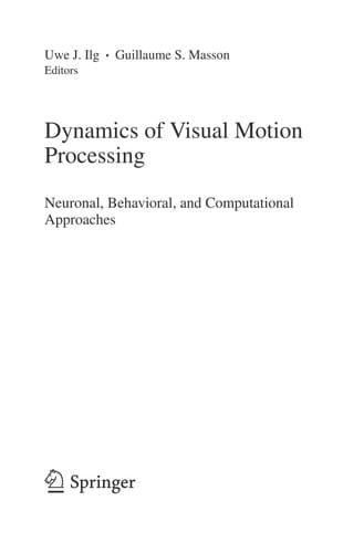 Dynamics of Visual Motion Processing