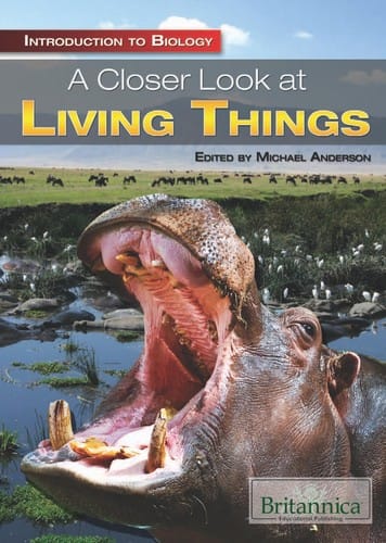 A closer look at living things