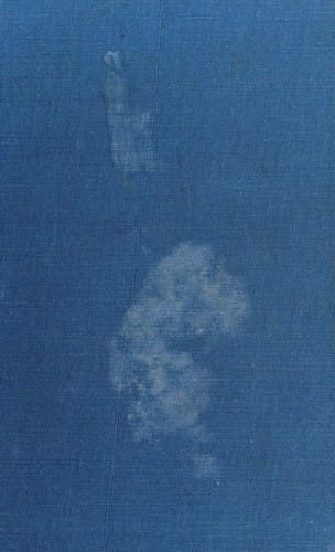 Swedish economic policy