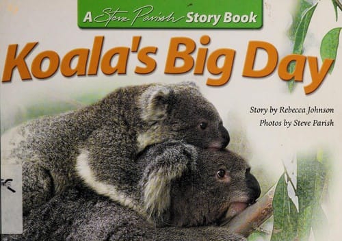 Koala's big day