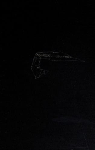 Strategies of American water management