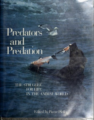 Predators and predation