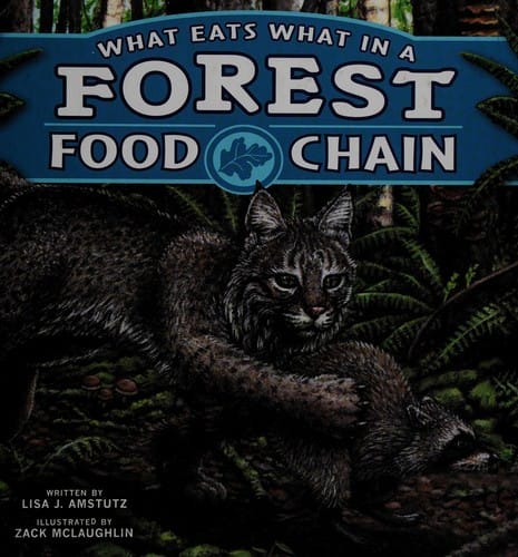 What eats what in a forest food chain