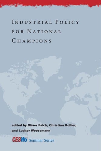 Industrial policy for national champions