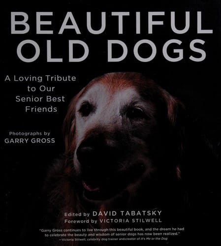 Beautiful old dogs