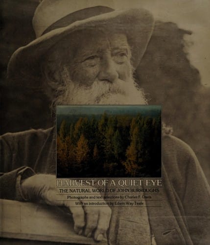 Harvest of a quiet eye