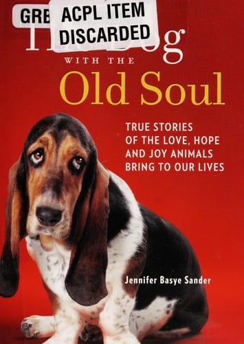 The dog with the old soul