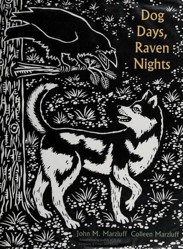Dog days, raven nights