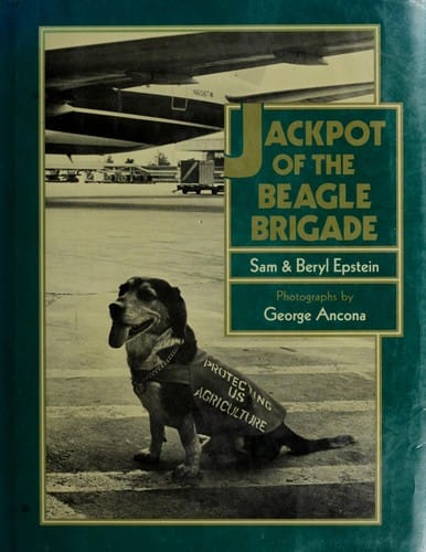 Jackpot of the Beagle Brigade