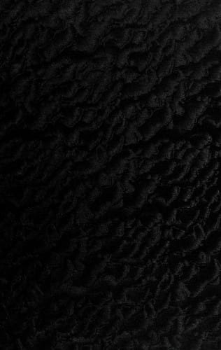 William Sharp--"Fiona Macleod," 1855-1905. --