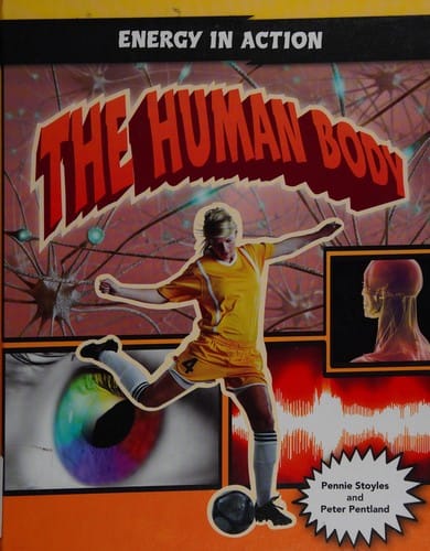 The human body