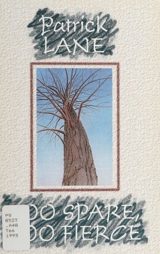 Too spare, too fierce