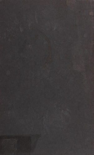 Actions and structure