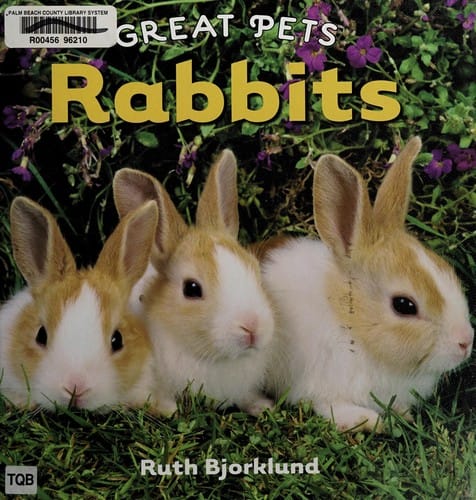 Rabbits