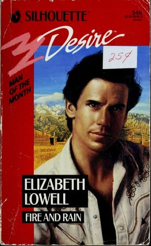 Fire And Rain By Elizabeth Lowell