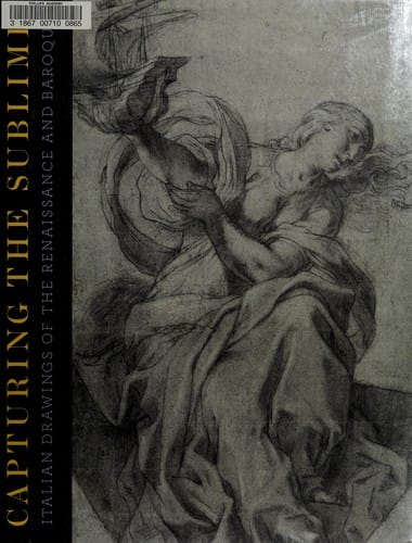 Capturing the sublime