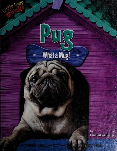 Pug