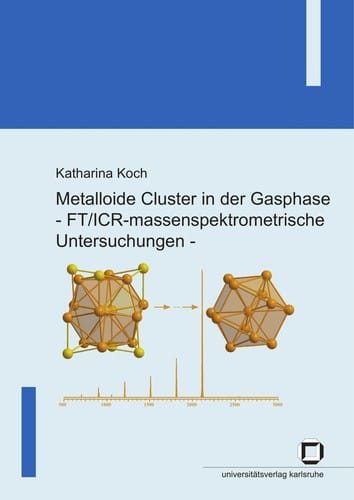 Metalloide Cluster in der Gasphase