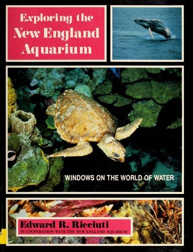 Exploring the New England Aquarium