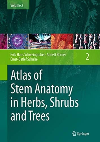 Atlas of Stem Anatomy in Herbs, Shrubs and Trees: Volume 2