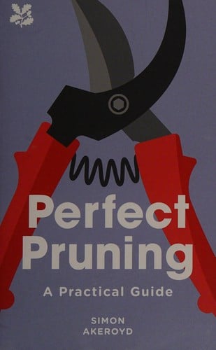 Perfect pruning