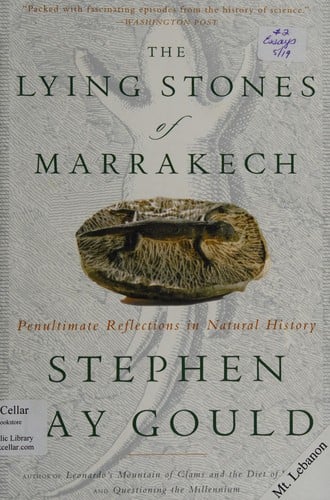 The lying stones of Marrakech: penultimate reflections in natural history