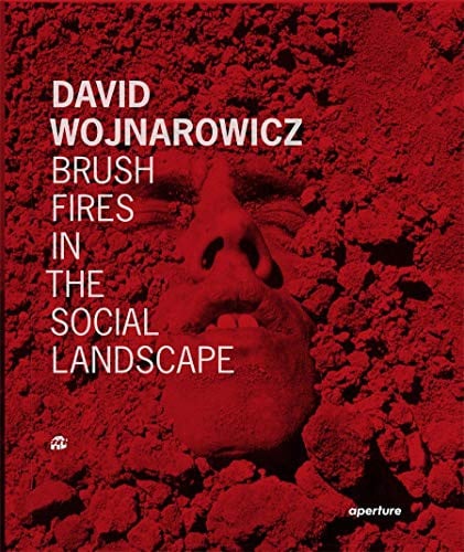David Wojnarowicz : Brush Fires in the Social Landscape: Twentieth Anniversary Edition