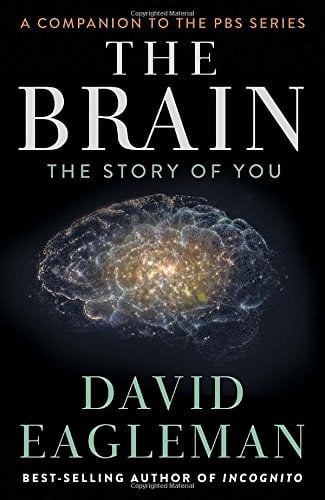 The Brain: The Story of You