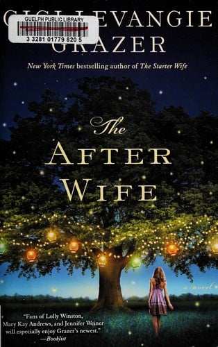 The after wife: a novel