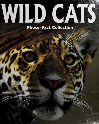 Wild cats