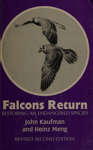 Falcons return