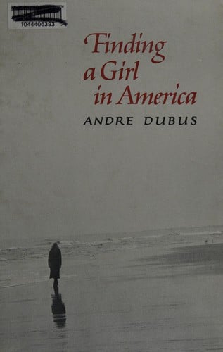Finding a girl in America: a novella and ten short stories