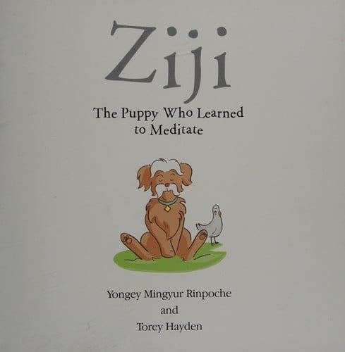 Ziji, the puppy who learned to meditate