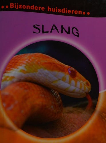 Slang
